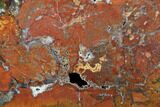 Rare, Red Hubbard Basin Petrified Wood Slab - #85934-1